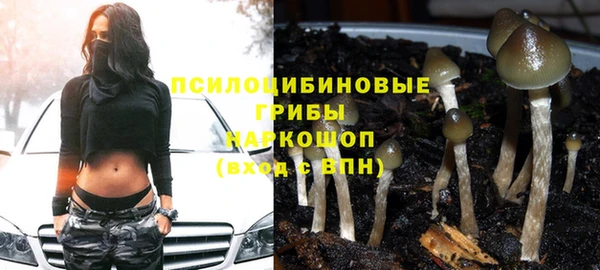бошки Вязьма