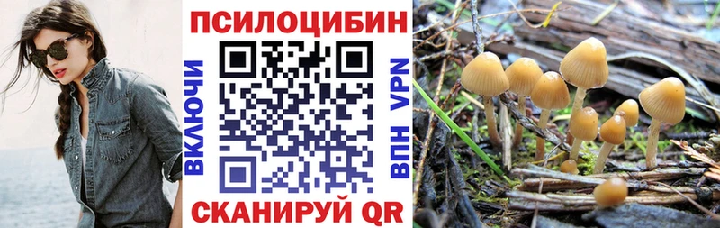 Галлюциногенные грибы Psilocybine cubensis  сколько стоит  Невинномысск 